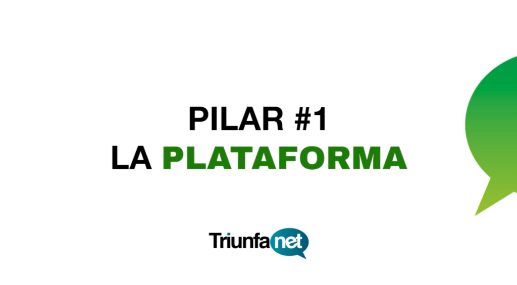 Curso Triunfanet: cómo vender en Internet, Pilar 1: La Plataforma