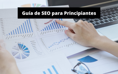 SEO para Principiantes: Guía Completa